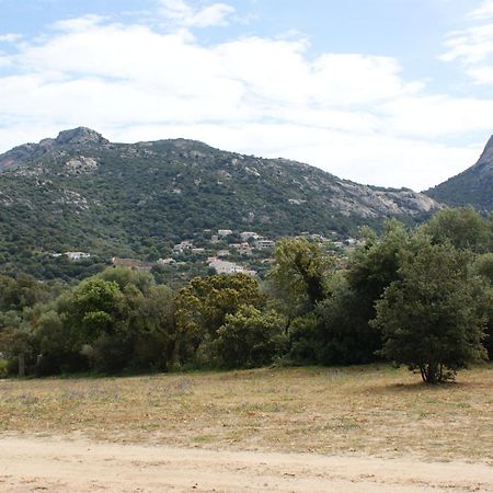 Вилла Belle Location Sur Lumio Avec Vue Remarquable Et Jardin Экстерьер фото